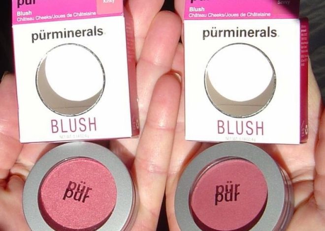 Pur Minerals Chateau Cheeks Blush (Kinky and Savvy) Review + SWATCHES!
